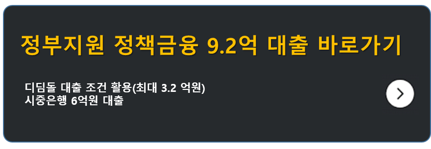 정부지원 정책금융 9.2억 대출